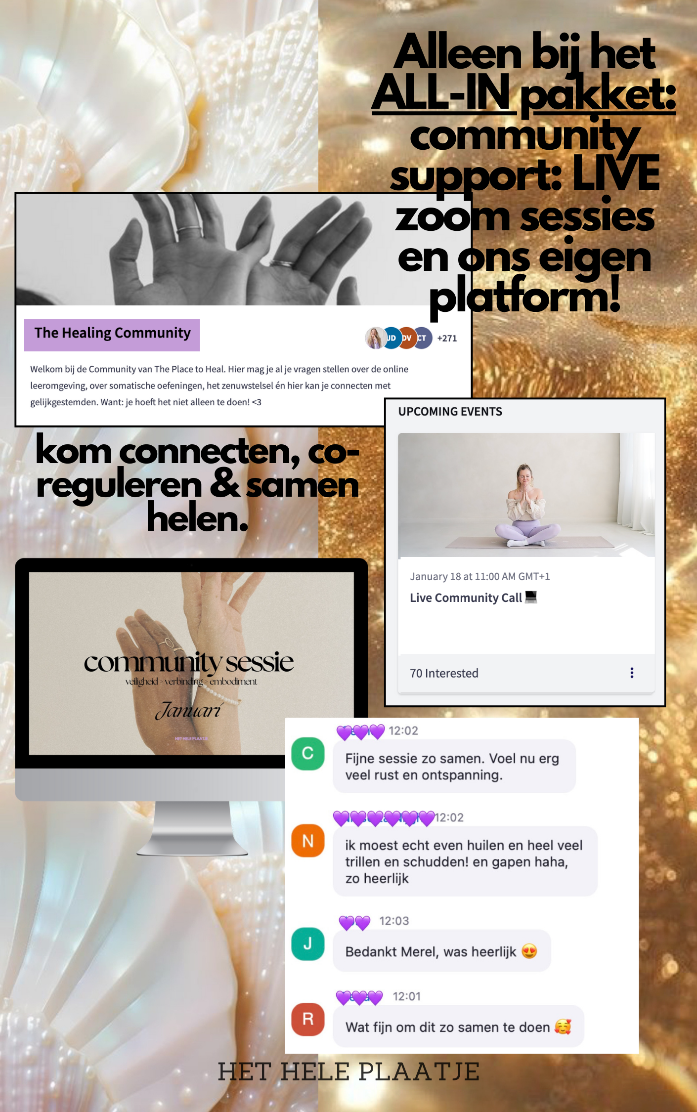 ALL-IN > The Place to Heal - Online Leeromgeving & Community