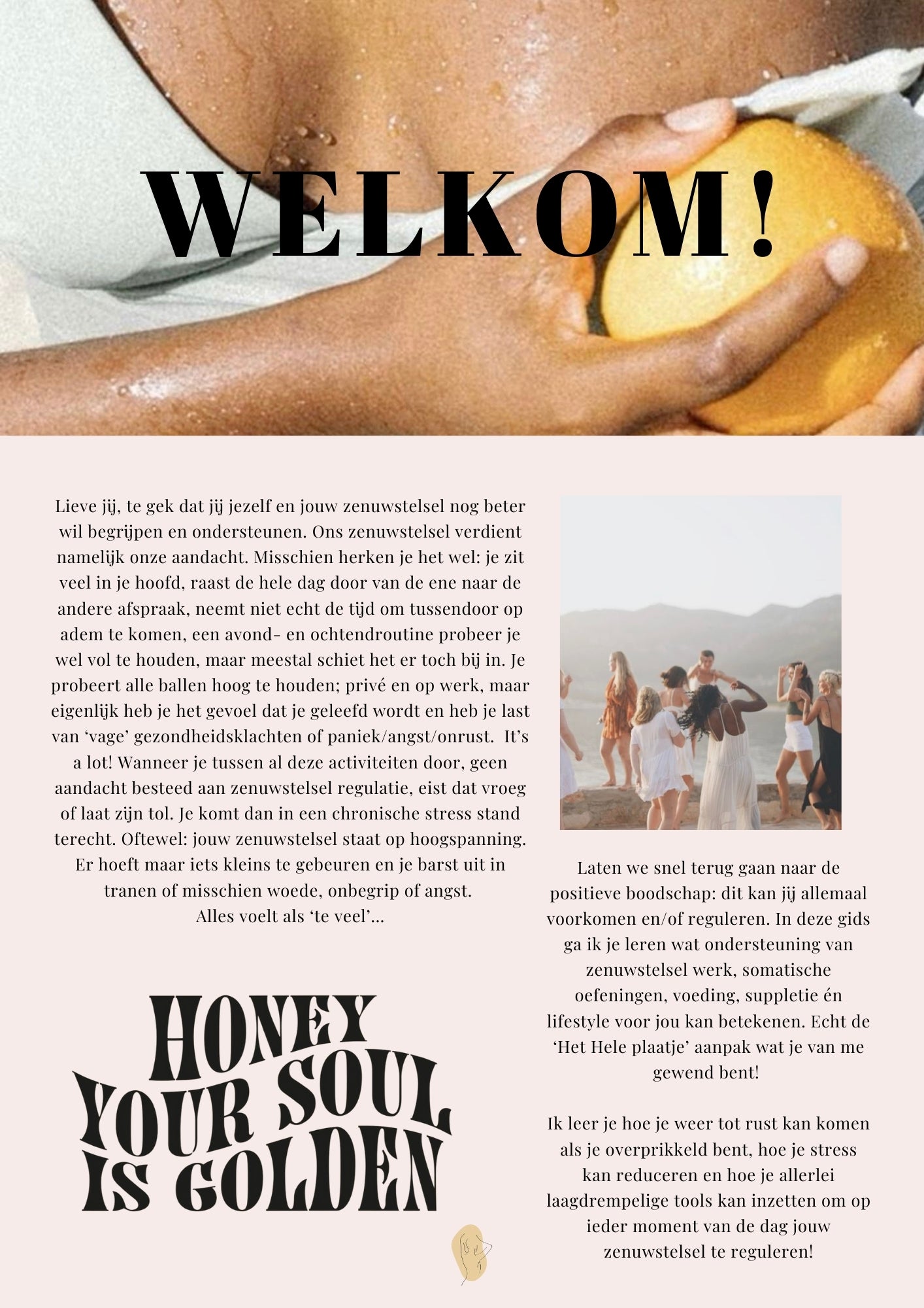 De Zenuwstelsel Regulatie E-Gids