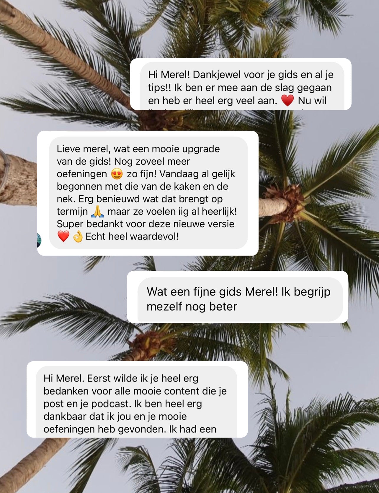 zenuwstelsel reguleren