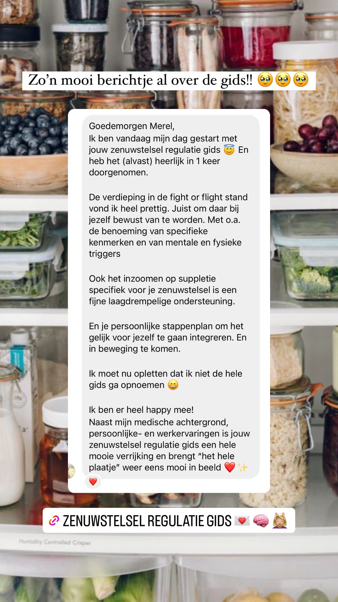 zenuwstelsel regulatie