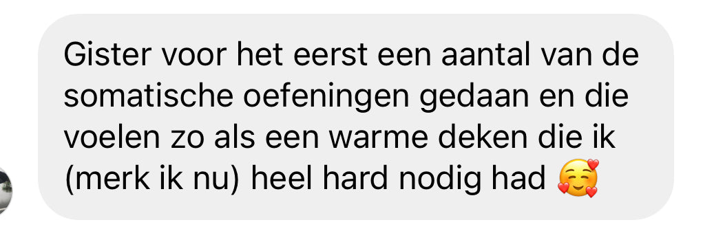 review het hele plaatje zenuwstelsel