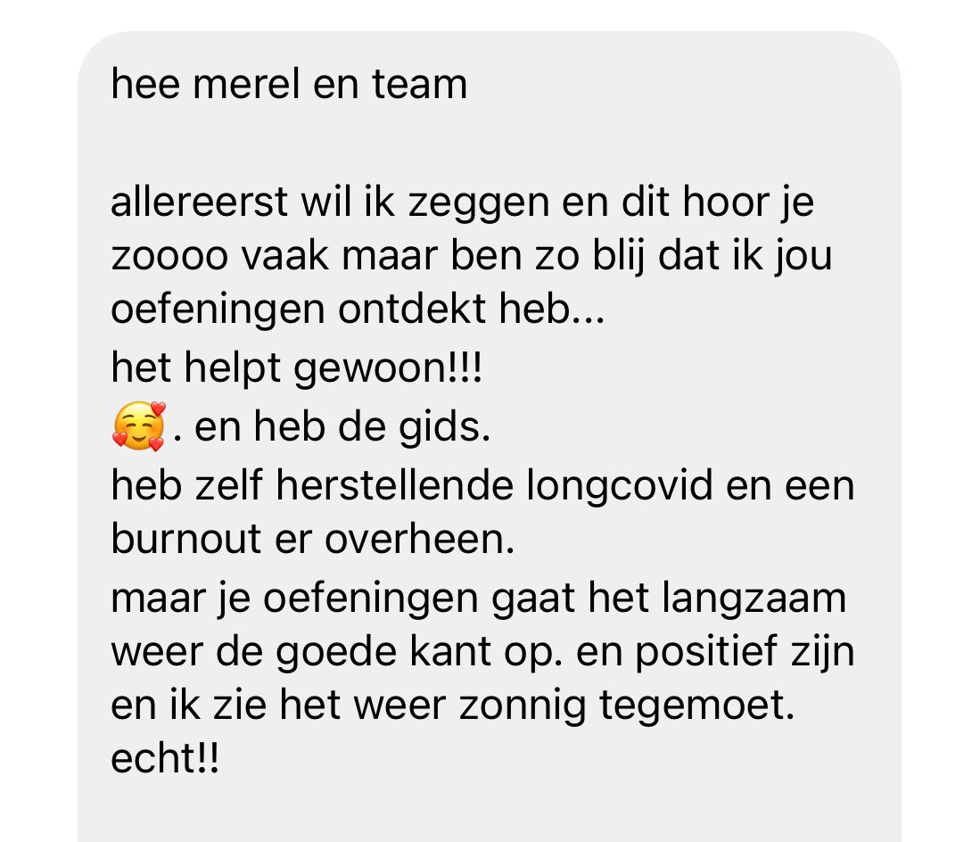 review zenuwstelsel hele plaatje