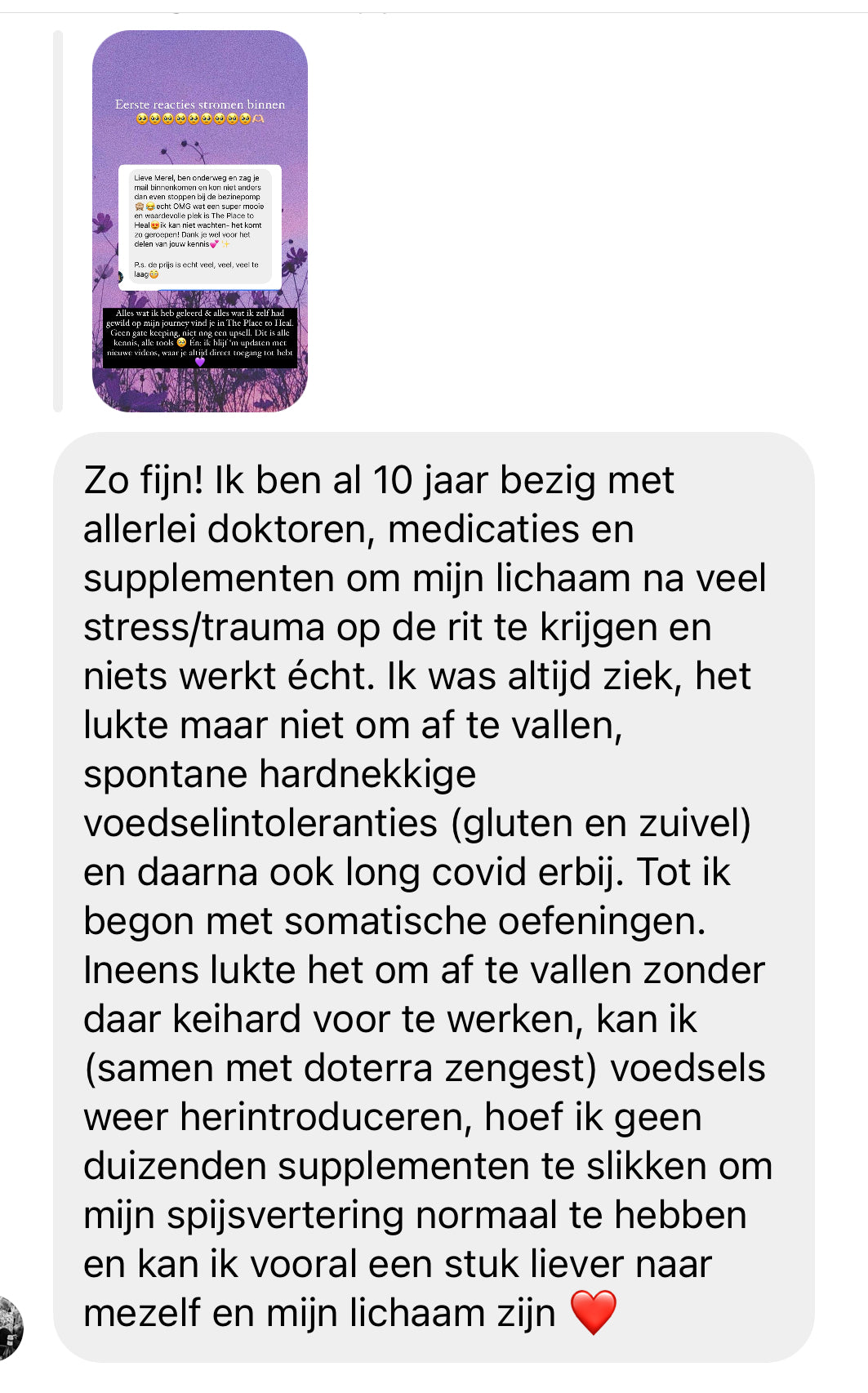 review zenuwstelsel het hele plaatje