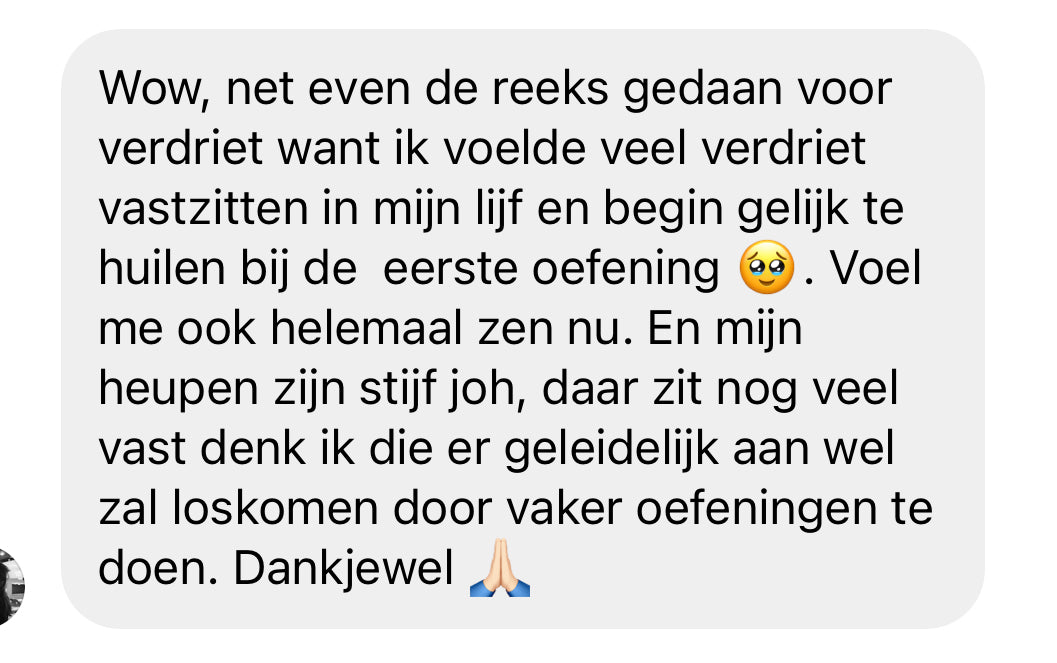 review zenuwstelsel het hele plaatje