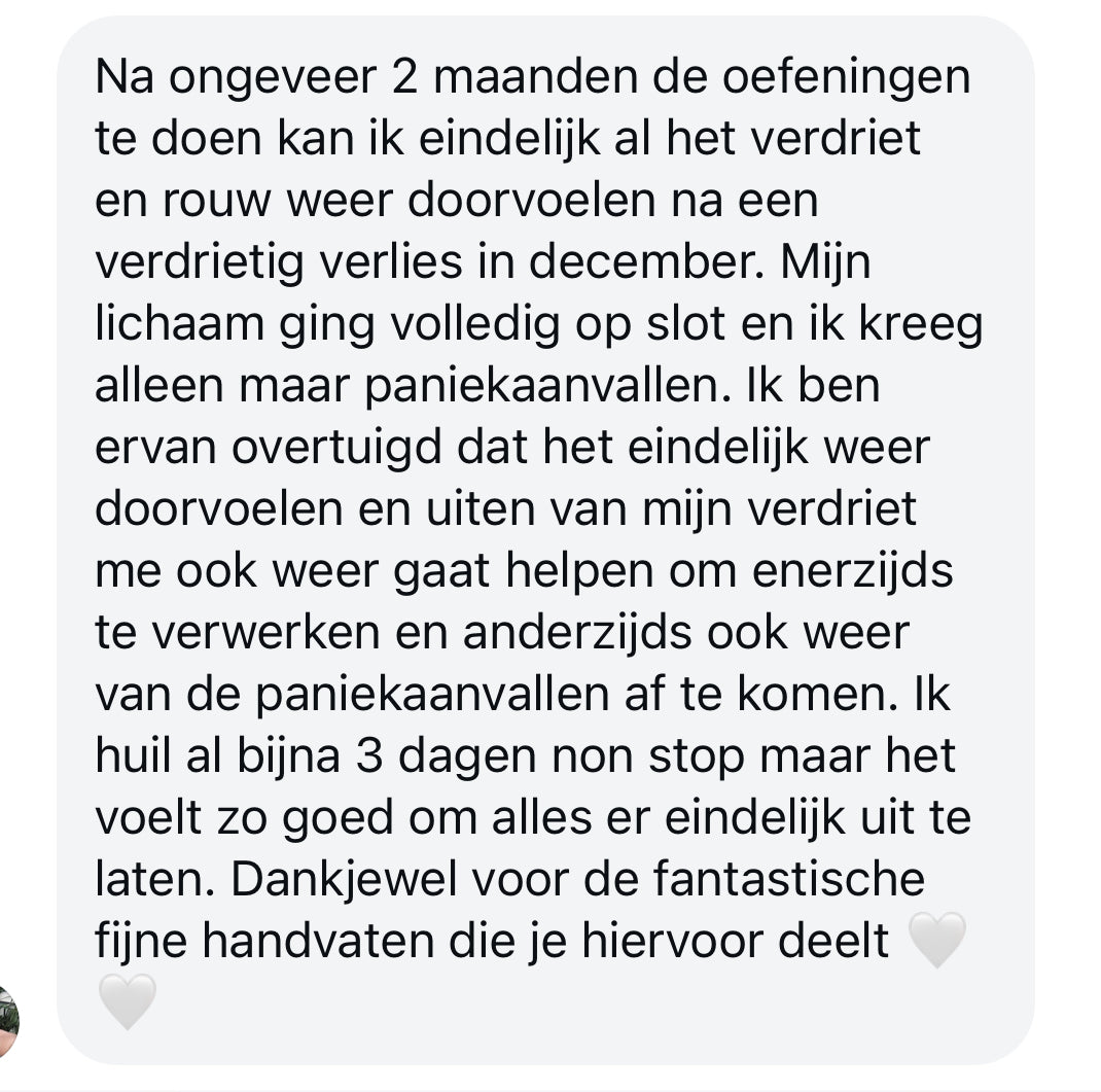 review zenuwstelsel het hele plaatje