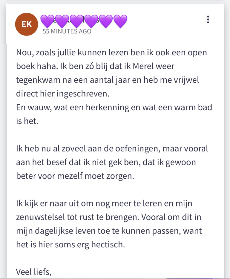 review zenuwstelsel het hele plaatje