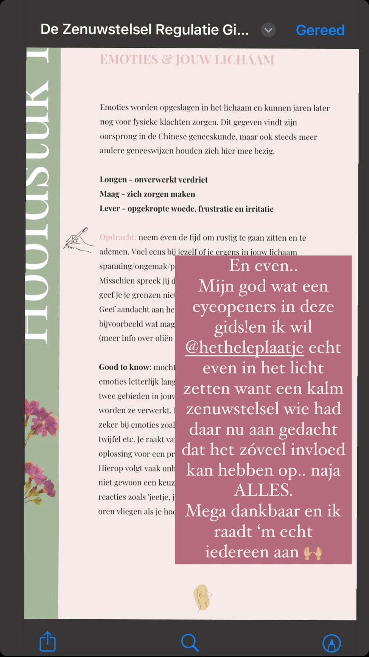 review zenuwstelsel regulatie gids