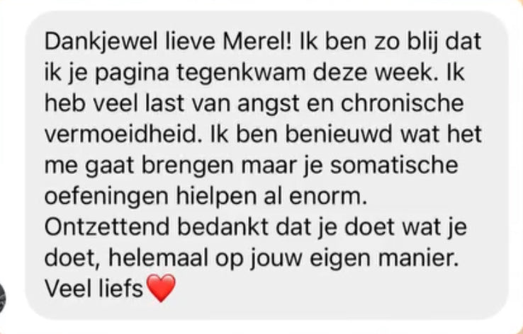 De Zenuwstelsel Regulatie E-Gids