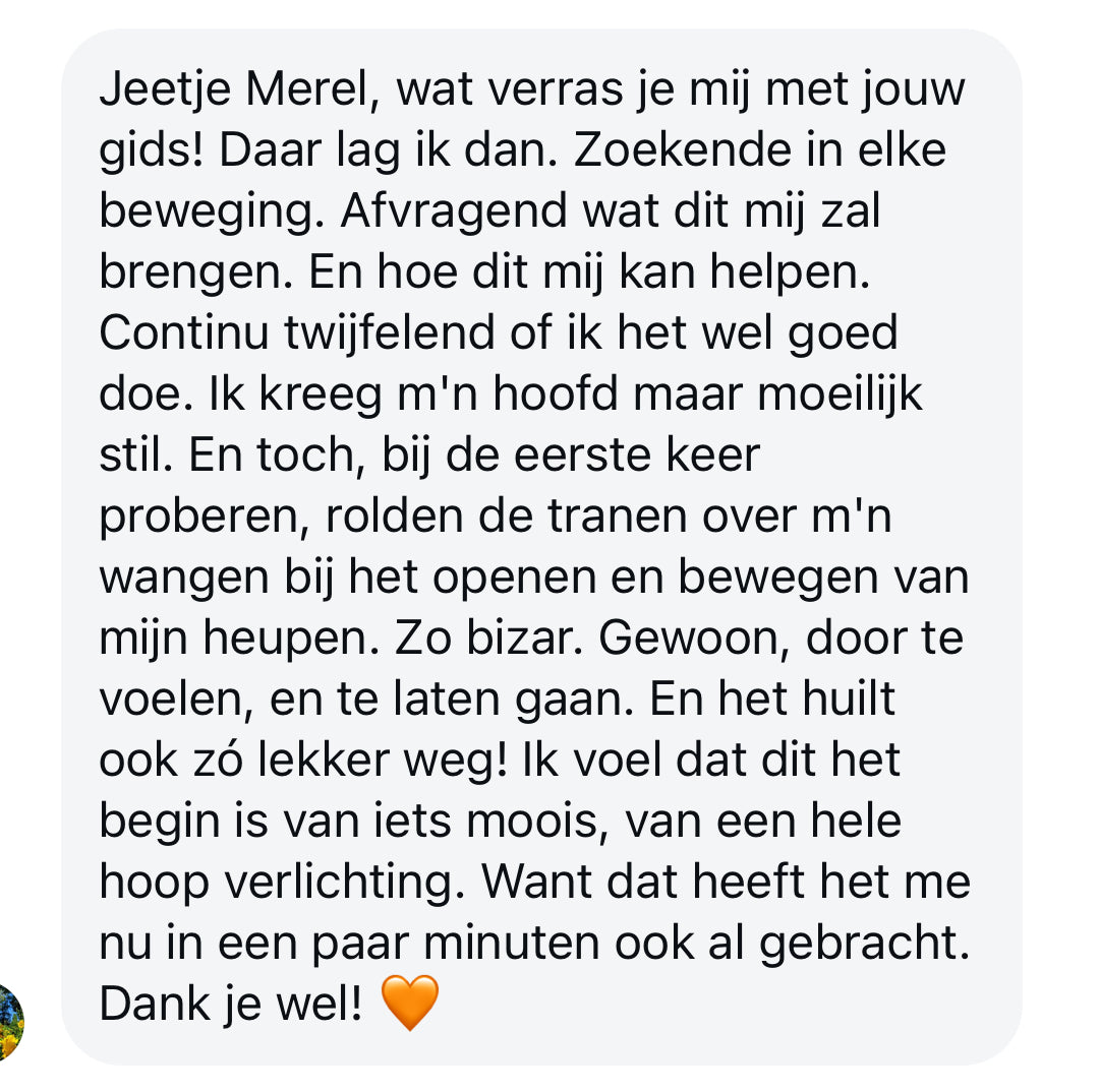 De Zenuwstelsel Regulatie E-Gids