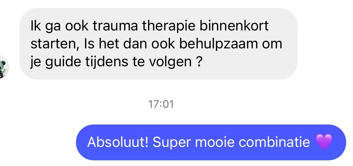 trauma verwerking holistich
