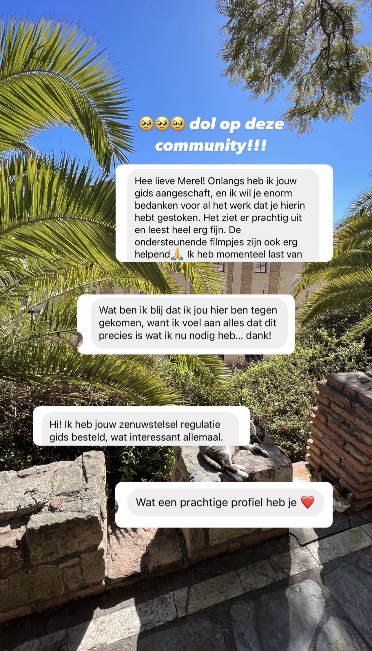 De Zenuwstelsel Regulatie E-Gids